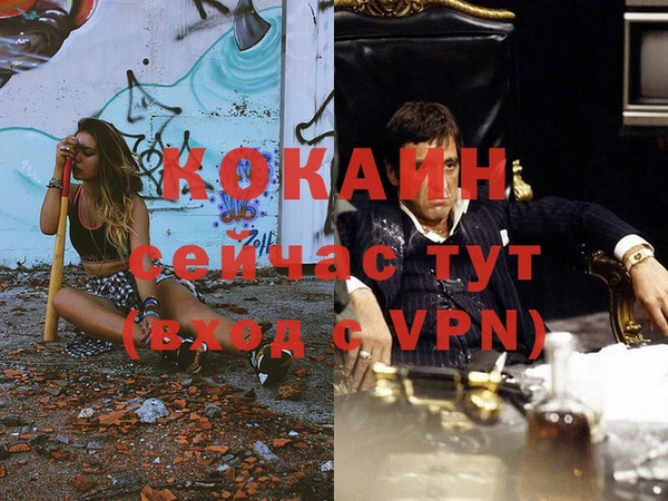 твердый Верея