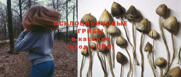 твердый Верея